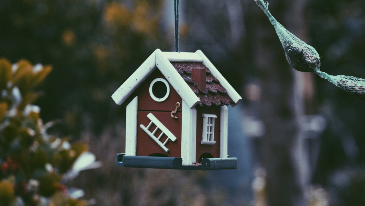 NAB leads basic variable home loan rate cuts